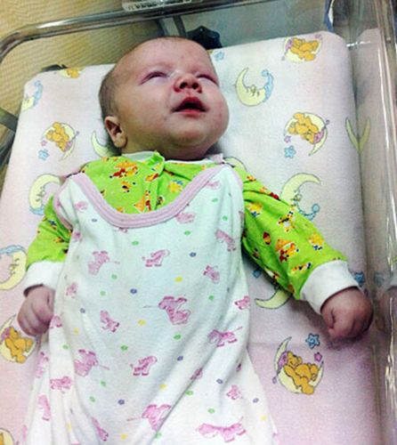 居民認為，如果沒有這只貓的照料，寶寶可能沒有機會活下來。