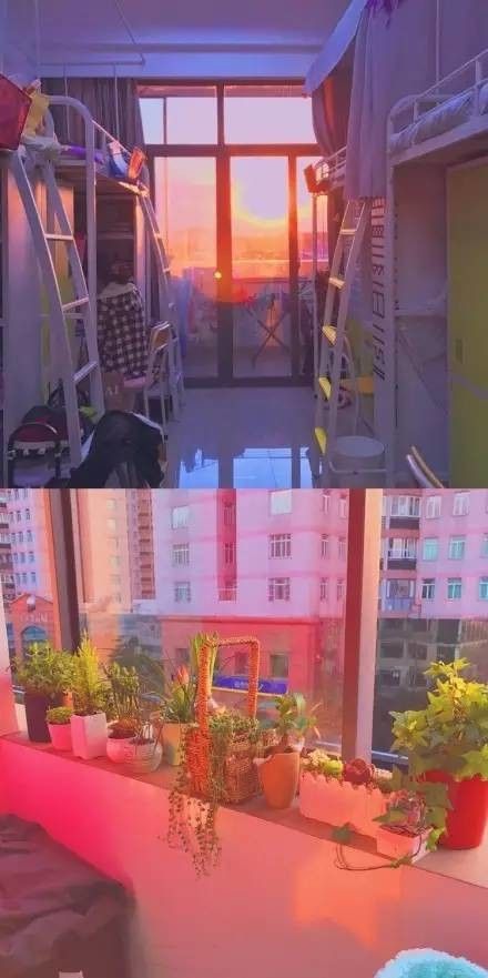 這個學(xué)校的男生宿舍火了！女同學(xué)都喊著要嫁