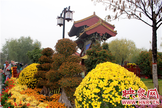 天好、花美 中國(guó)開封第32屆菊花文化節(jié)延長(zhǎng)一周