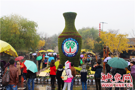 天好、花美 中國(guó)開封第32屆菊花文化節(jié)延長(zhǎng)一周
