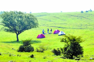 洛陽黛眉山景區(qū)開園迎賓，明年五一前免費開放