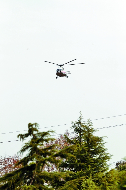 輕拋一點入云去，利眼“鐵鷹”掠地來