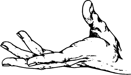 　時(shí)間：拿到通知書(shū)，未報(bào)到就可申請(qǐng)