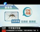 “登革熱”來(lái)河南 嚴(yán)防花蚊子
