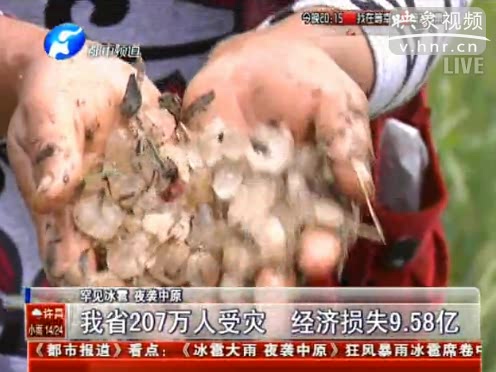 河南207萬人受災 經(jīng)濟損失9.58億