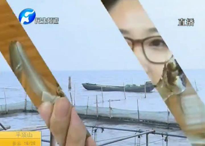 陽澄湖大閘蟹？假的！