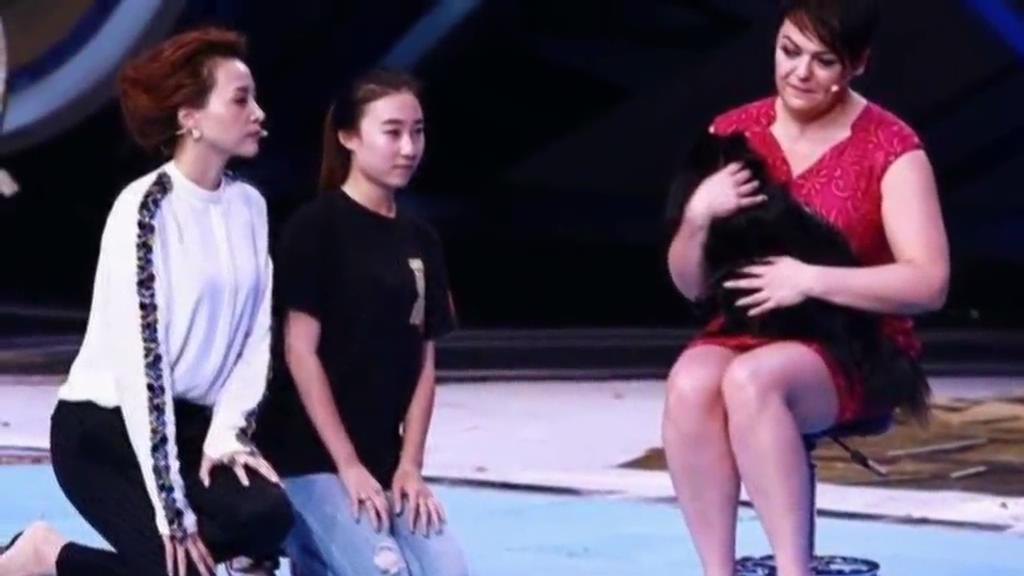 又當托？ 董卿節(jié)目現(xiàn)場當眾對狗下跪稱被催眠