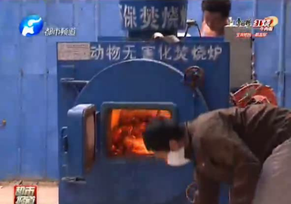 銷(xiāo)毀毒螃蟹 只因鎘超標(biāo)