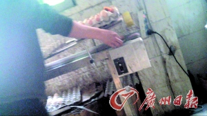 工作人員正在為“土雞蛋”噴日期碼。