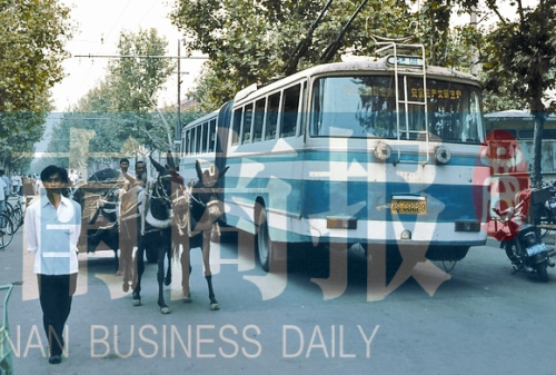 當年的伏牛路，驢車和公交車并行